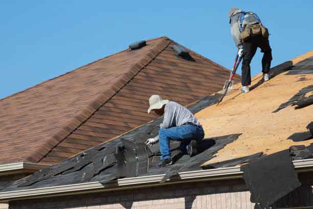 Roof Damage Repair and Maintenance Services in Philadelphia